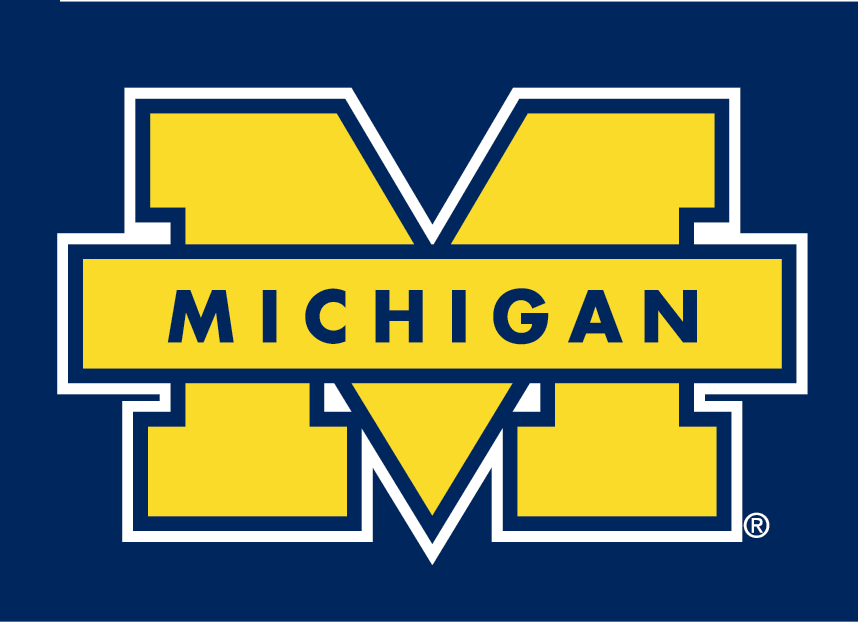 Michigan Wolverines 1996-Pres Secondary Logo v2 iron on transfers for fabric